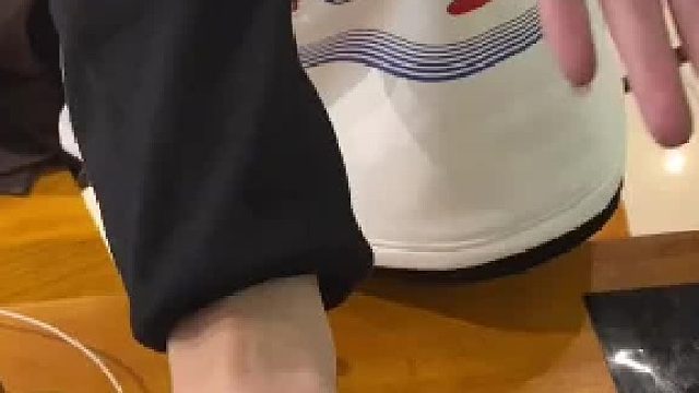 #蜜袋鼯 让小蜜飞一会吧，拍的一般见谅