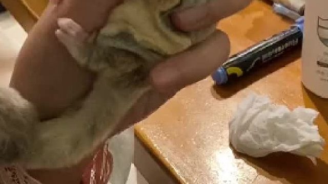 喜欢和小宝儿这种互动的有多少，大声说出来