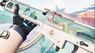 無畏契約 | 海洋之星狂徒與其它狂徒的主觀對比評價