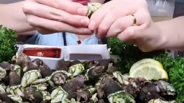 （2）“寄生恶魔”藤壶有多可怕？海洋生物逃不过，人类舰船也没能逃脱