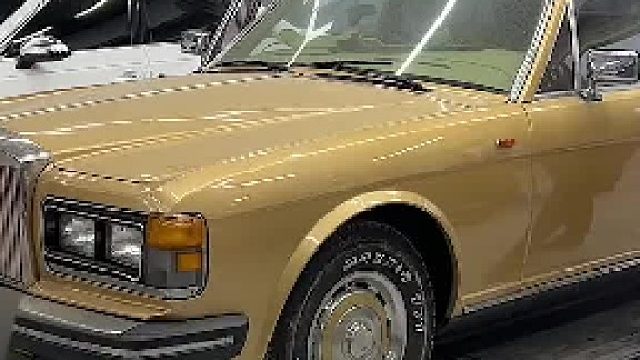 原本还想冬天给你们来一支舞,没想到啊!#猛犬劝退舞