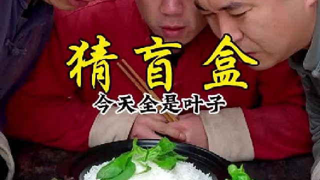 今天全是叶子，你们会选哪个呢？