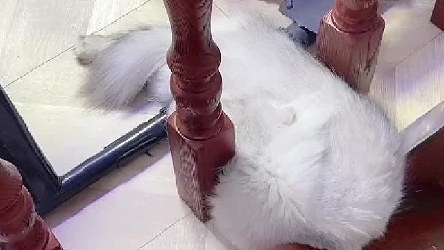 永强郁闷了，没有男朋友。@少宇的宇