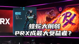 新版本蝰蛇大削，PRX或成上海大師賽受益者？