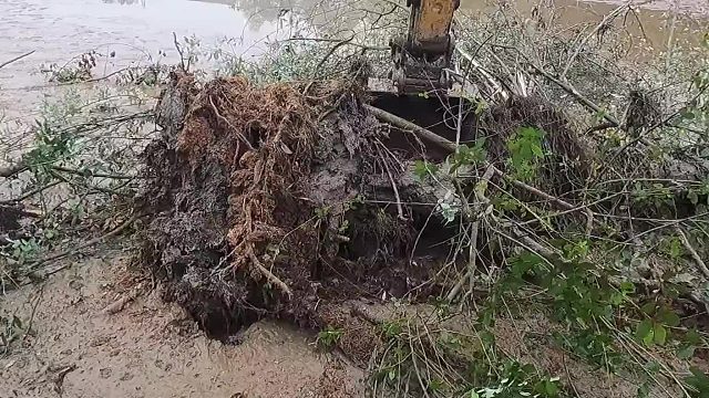 堤坝稍微弄一下之后，我们开始清理鱼塘里面的泥巴。