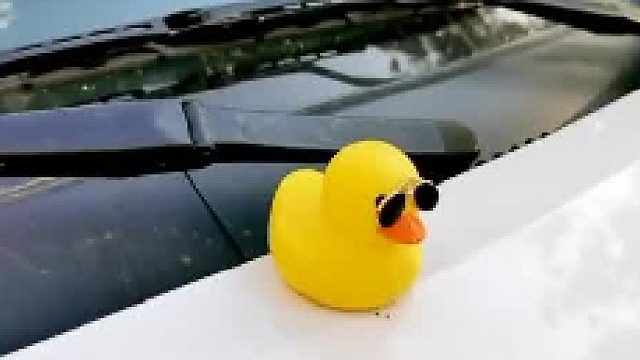 六月将尽，七月将至！一年已过一半、愿所有美好如期而至，所有不好随风飘散！#六月再见 #七月你好