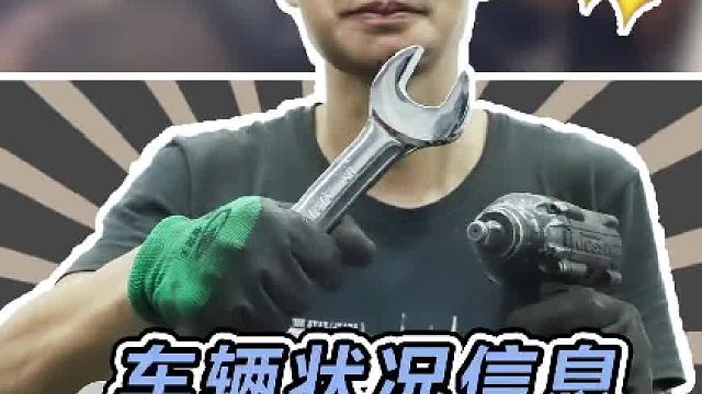 有了这个，都能自己排查车辆故障了