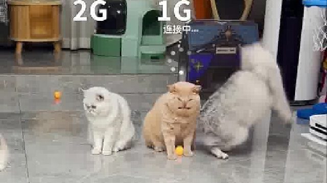 果然5G速度最快