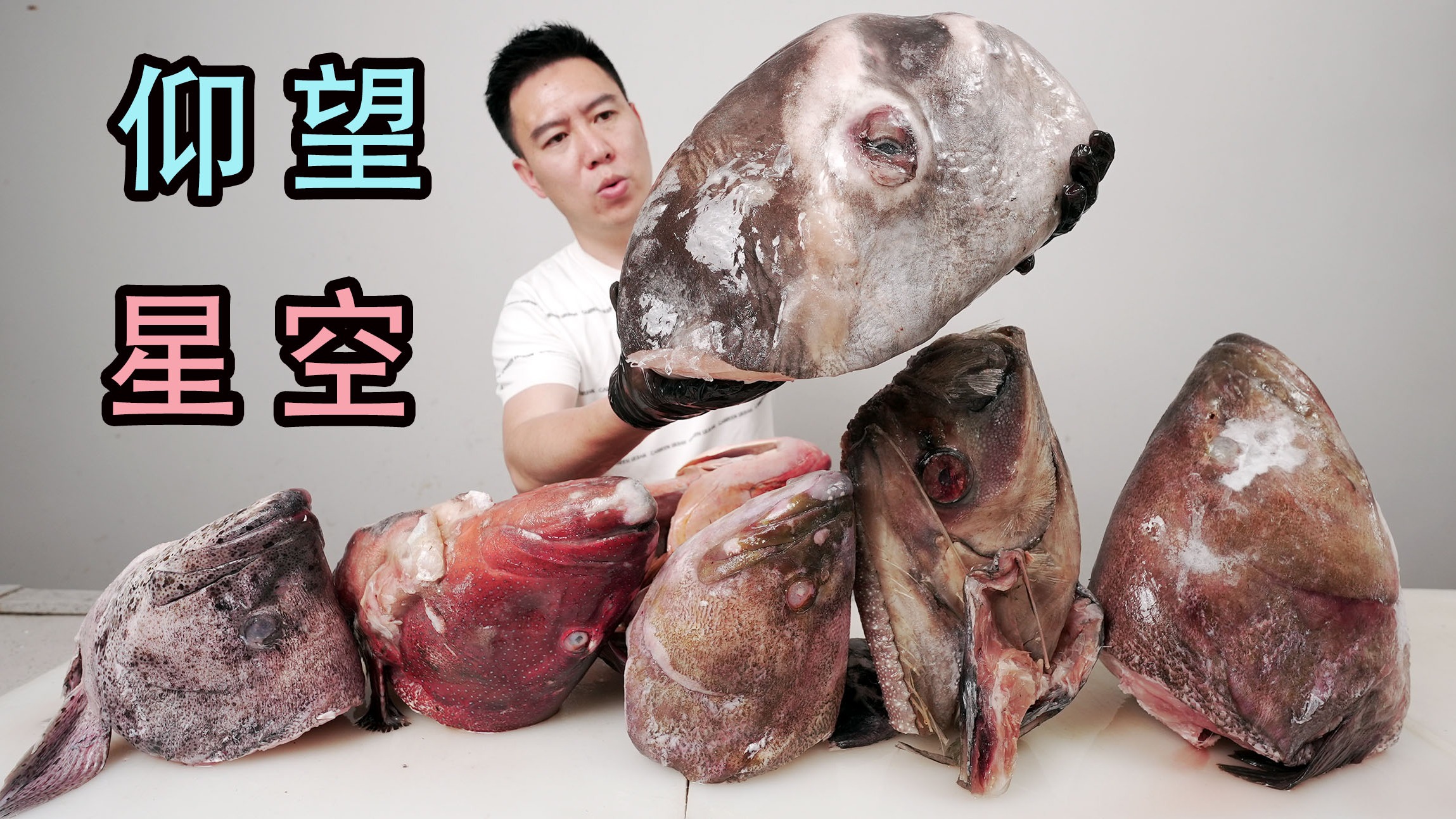 全网1000多万粉丝最想看的一期视频，它终于来了