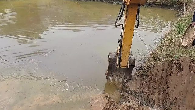 挖机鱼塘放水，宝子我出院鸟。