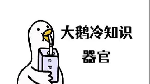 人体这些器官拿掉一半后，依然可以正常生存