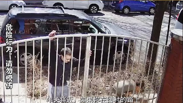 过年回村遇恶犬怎么办？5招教你逃出生天，遇这几种恶犬记得躲远 1