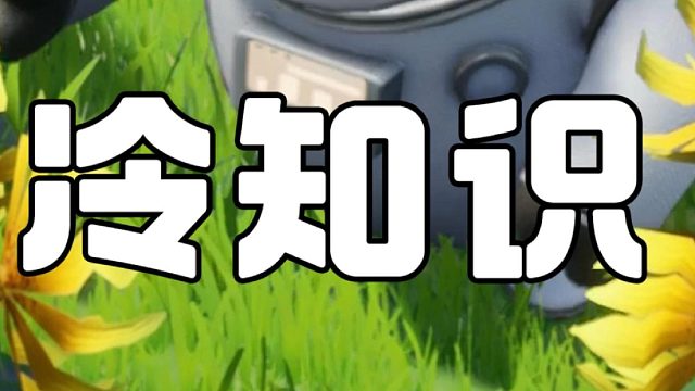 关于啾啾的悲伤冷知识