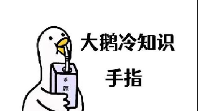 手指决定性格，看看你的手指