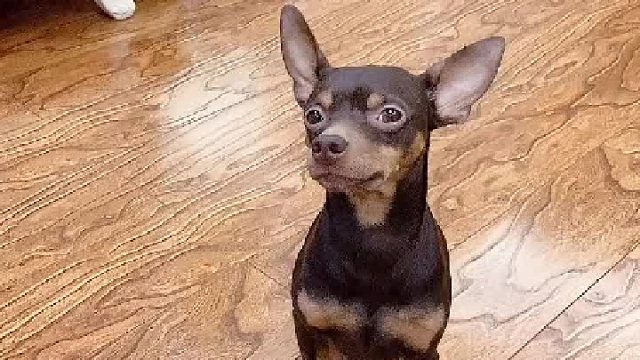 啵啵乐：今天太冷了不想下楼了