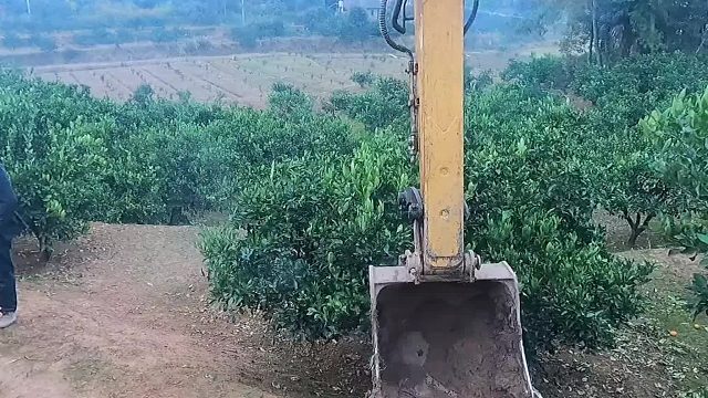 第一集。挖鱼塘，我们先修路修过去。