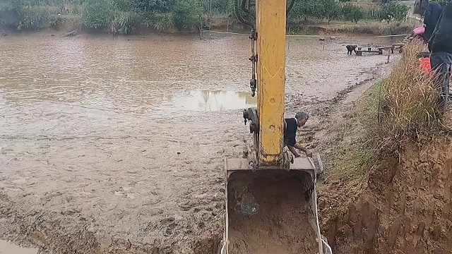 第三集，鱼抓完之后。我们现在开始挖鱼塘整堤坝，池塘四周清理