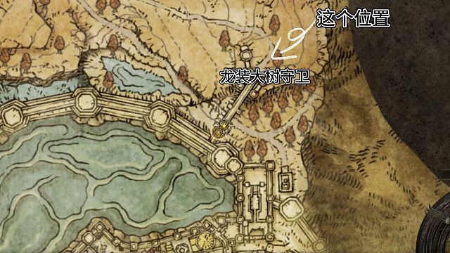 艾尔登法环!龙装大树守卫！掉落大龙爪与龙爪盾