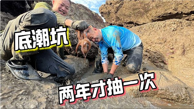 抽干等了两年的底潮坑，石洞中的鱼不停往外窜，抓起来太过瘾了