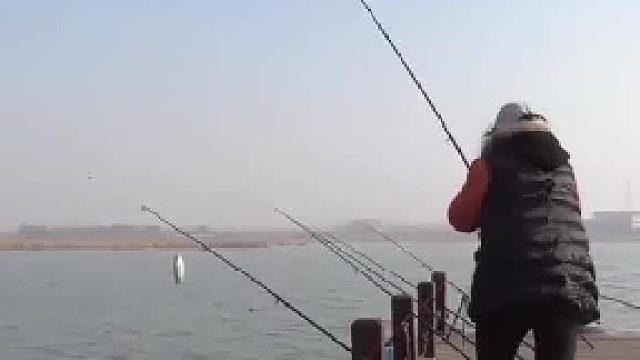 （1）一夜能赚上万元，官方却严令禁止，红虫究竟是什么？