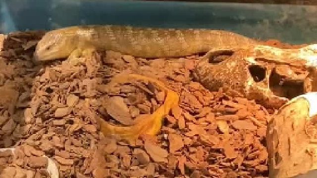 它没被接受的原因一定是没有去了解它