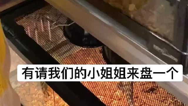 这个桀骜不驯的小家伙