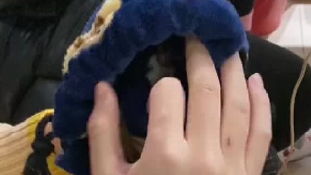 让小蜜跑一会吧