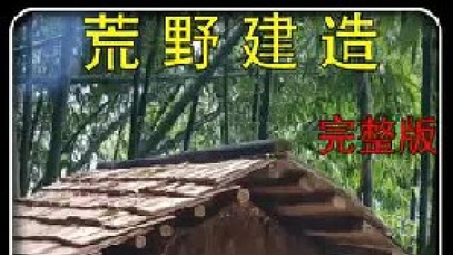 挖空百年树根建造完美洞屋，原始技术催眠又解压 （2）