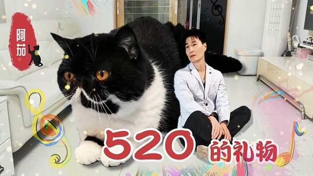 猫咪与铲屎官互赠礼物