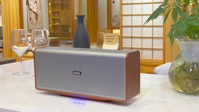 钛金属轻奢一体成型，即是音箱也是装饰品