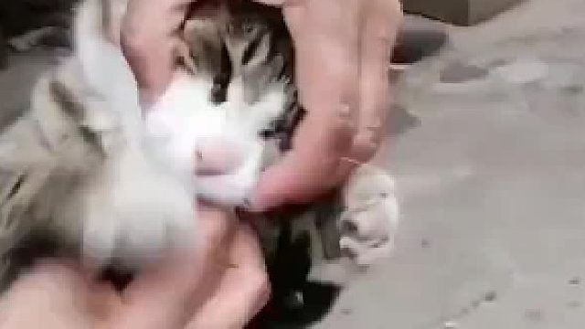 放个年轻的人早咬了吧