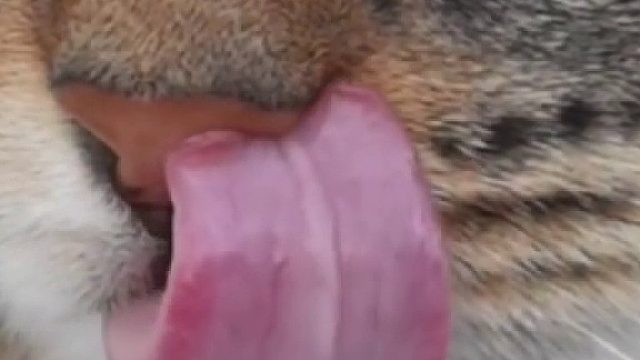 “嚼嚼嚼……嗯……咸的！”