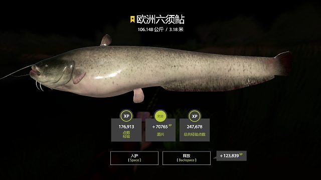 红唇欧鲇又上岸啦