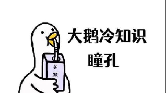 所以，爱意是藏不住的，它会从眼睛里跑出来