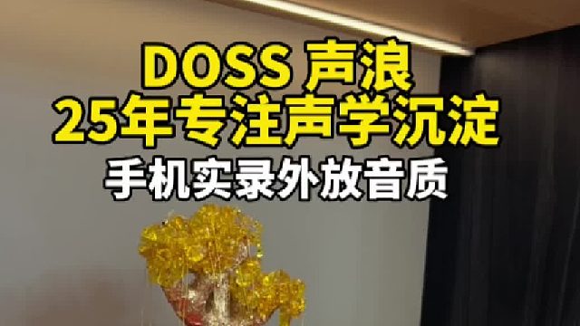 音质巅峰让声音直击灵魂：DOSS原木全景声音箱