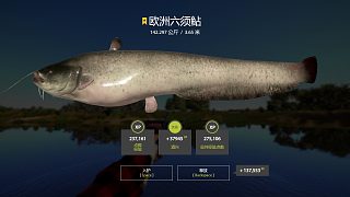 岸邊汗流浹背-俄羅斯釣魚4拉豬