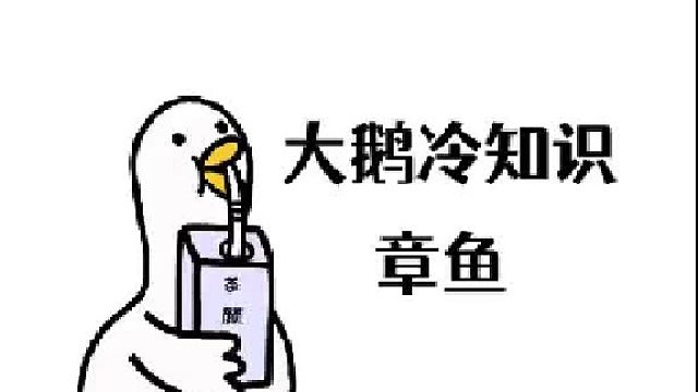 你品…你细品……