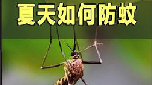 蚊子最怕的原来是这个？