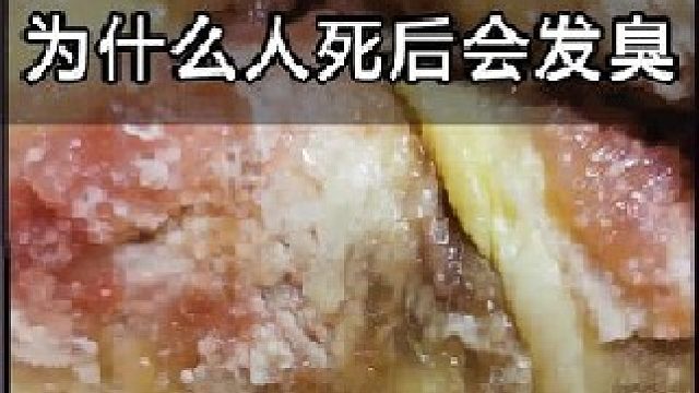 人死后肉体会很快发臭，为什么猪肉却不会？看完涨知识了