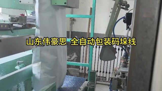 硫酸钠自动包装码垛系统 全自动包装码垛机流程