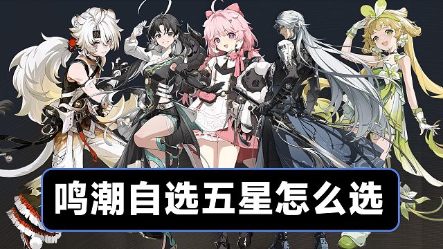 【鸣潮】自选五星选谁？为什么？