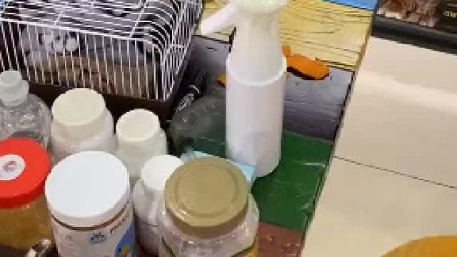 它会在你的身上找到一个家