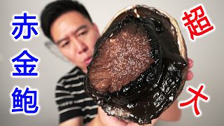 一個2.5斤的特大赤金鮑，鹵完整個抱起來啃，爽翻了