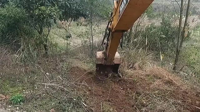 路边杂草太高，影响老板家视线。挖机过来清理，在吧废弃鱼塘填。