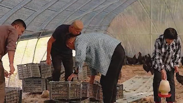 亲家母国庆节要带着大江一家去旅游，结果真是啼笑皆非！