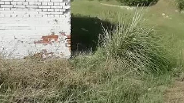 自驾游的路上就是充满了意外！