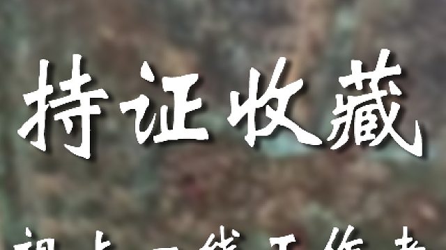 祖上大有来头啊宝友