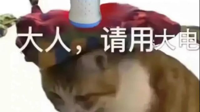 今天也来为大伙改善伙食了-片段1