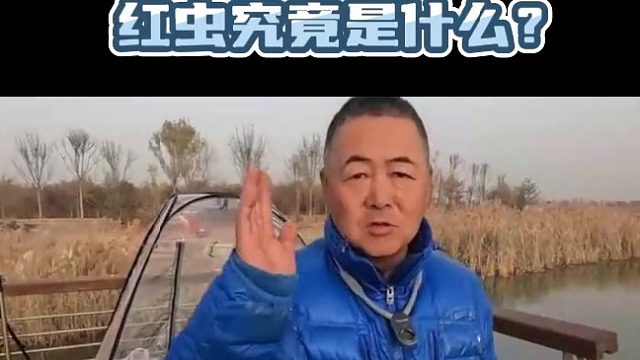 一夜能赚上万元，官方却严令禁止，红虫究竟是什么？