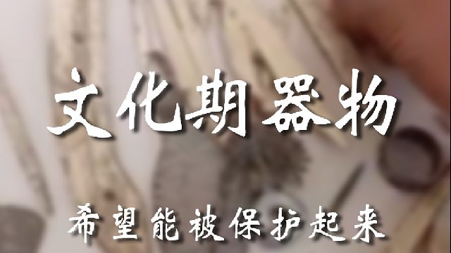 宝友这东西不少啊